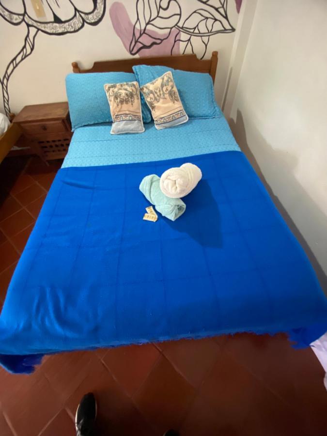 Alegria Hostel 莱瓦镇 外观 照片