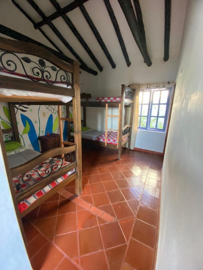 Alegria Hostel 莱瓦镇 外观 照片